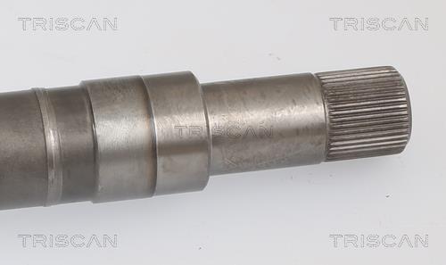 Cardán Triscan A/S ref. 8540 16623