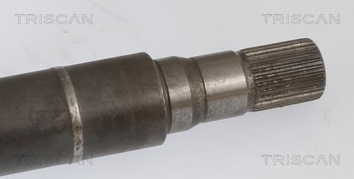 Cardan Triscan A/S 8540 16625