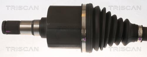 Cardã Triscan A/S ref. 8540 16641