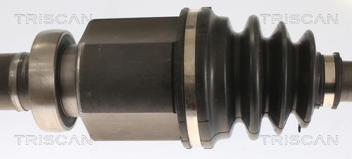 Cardan Triscan A/S 8540 16643