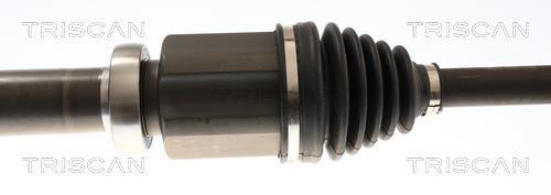 Cardan Triscan A/S ref. 8540 16644