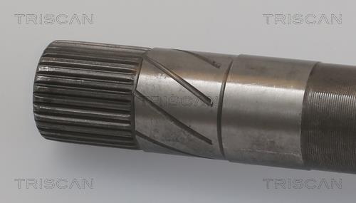 Cardan Triscan A/S ref. 8540 16647