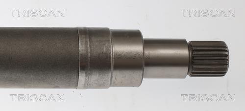 Cardan Triscan A/S 8540 16666