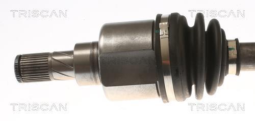Cardan Triscan A/S 8540 16667