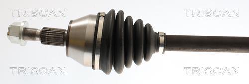 Cardan Triscan A/S ref. 8540 16668