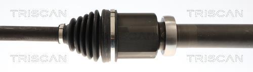 Cardan Triscan A/S ref. 8540 16668