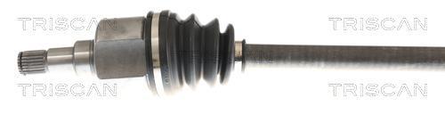 Cardan Triscan A/S ref. 8540 16685