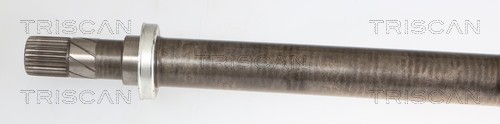 Cardán Triscan A/S 8540 16697