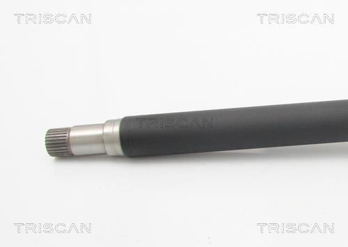 Cardã Triscan A/S 8540 23523