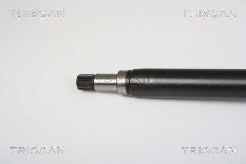 Cardán Triscan A/S 8540 23533