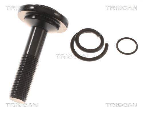 Cardán Triscan A/S ref. 8540 23564