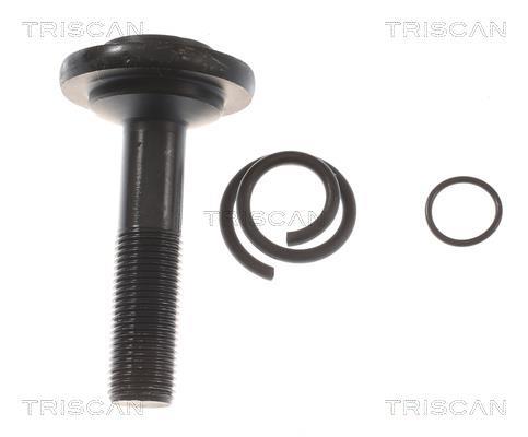 Cardán Triscan A/S 8540 23566