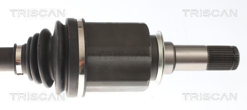Cardan Triscan A/S 8540 23587