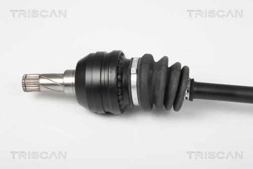 Cardã Triscan A/S ref. 8540 24587