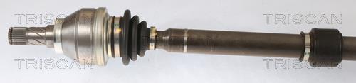 Cardan Triscan A/S ref. 8540 24601