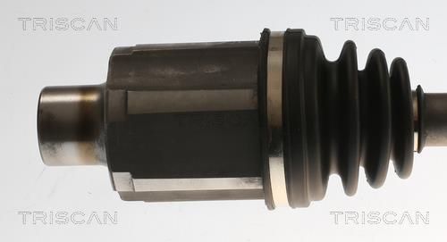 Cardan Triscan A/S ref. 8540 24616