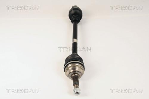 Cardan Triscan A/S ref. 8540 25593