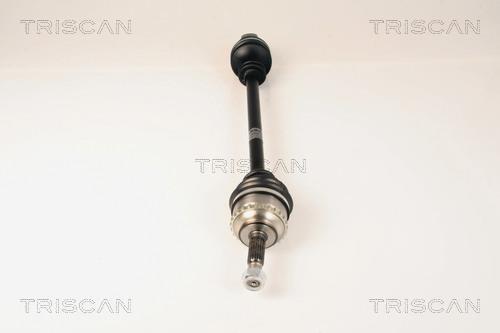 Cardan Triscan A/S ref. 8540 25597