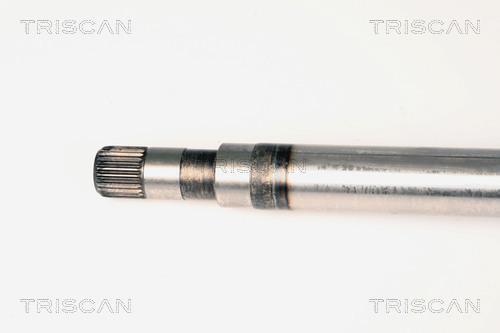 Cardan Triscan A/S ref. 8540 25612
