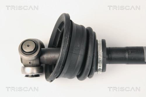 Cardan Triscan A/S ref. 8540 25620