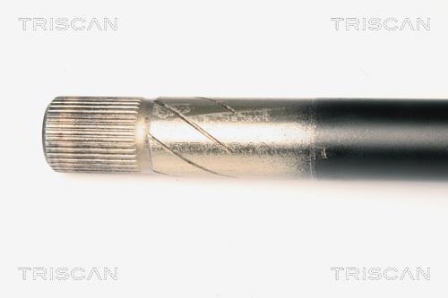 Cardan Triscan A/S ref. 8540 25621