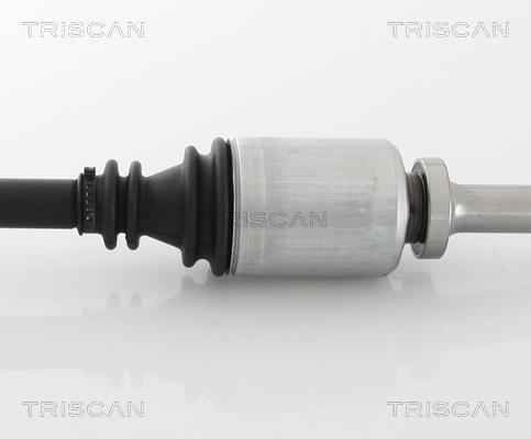 Cardan Triscan A/S ref. 8540 25625