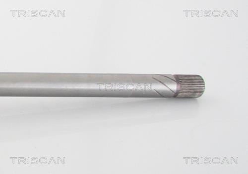 Cardan Triscan A/S ref. 8540 25625