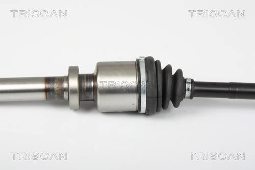 Cardan Triscan A/S ref. 8540 25655