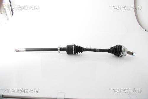 Cardan Triscan A/S ref. 8540 25664