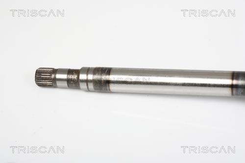 Cardan Triscan A/S 8540 25667