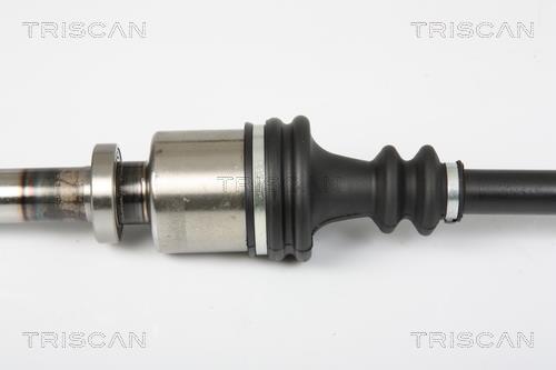 Cardan Triscan A/S 8540 25667
