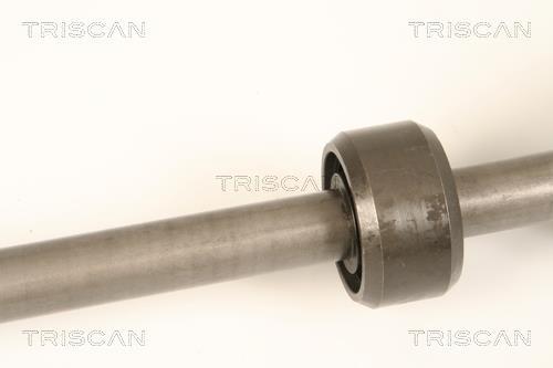 Cardã Triscan A/S 8540 25673