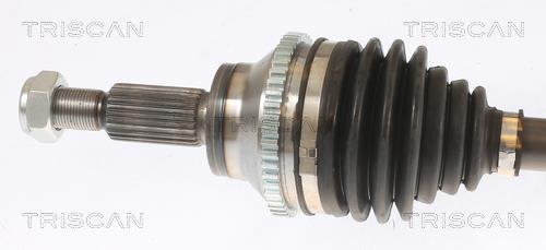 Cardan Triscan A/S ref. 8540 25693