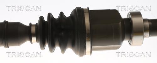 Cardan Triscan A/S ref. 8540 25724