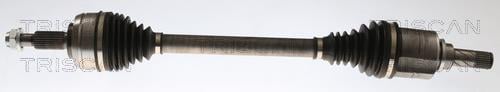 Cardan Triscan A/S ref. 8540 25725