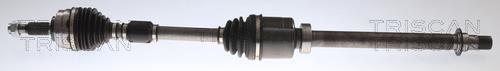 Cardan Triscan A/S ref. 8540 25728