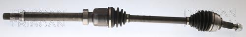 Cardan Triscan A/S ref. 8540 25732