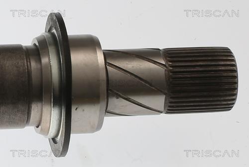 Cardan Triscan A/S 8540 25738