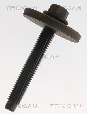 Cardã Triscan A/S ref. 8540 27545