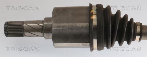 Cardã Triscan A/S ref. 8540 27546