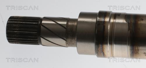 Cardán Triscan A/S ref. 8540 27552
