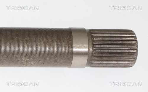 Cardan Triscan A/S 8540 27592