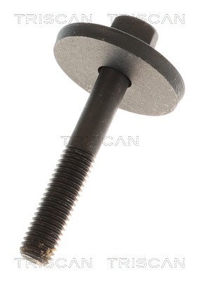 Cardã Triscan A/S 8540 27598