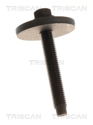 Cardã Triscan A/S 8540 27600