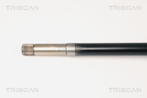 Cardan Triscan A/S ref. 8540 28556
