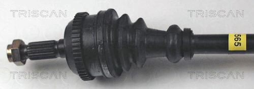Cardan Triscan A/S ref. 8540 28565