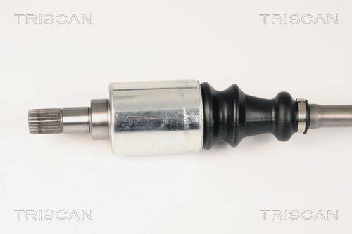 Cardã Triscan A/S ref. 8540 28569