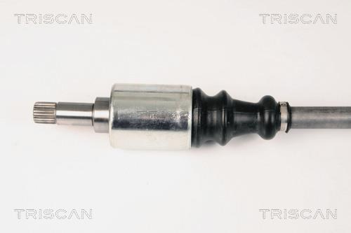 Cardan Triscan A/S ref. 8540 28593
