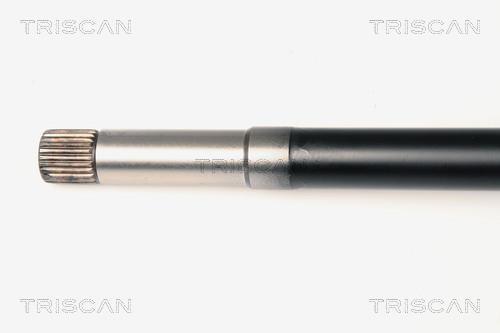 Cardan Triscan A/S ref. 8540 28641