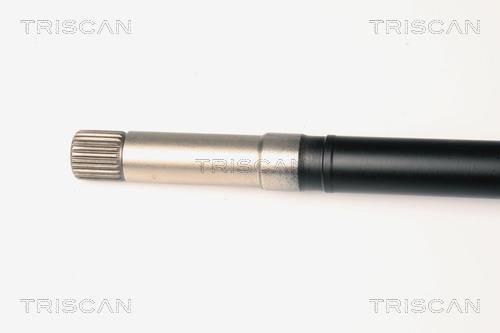 Cardã Triscan A/S ref. 8540 28646